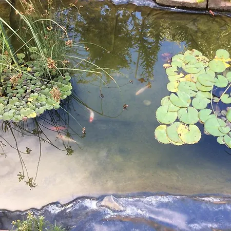 Kis Teniszhaz شقة Ordacsehi