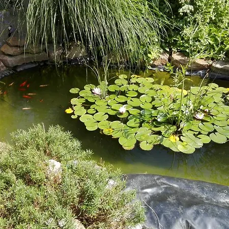 Apartament Kis Teniszhaz *