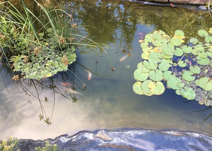 Kis Teniszház Appartamento Ordacsehi